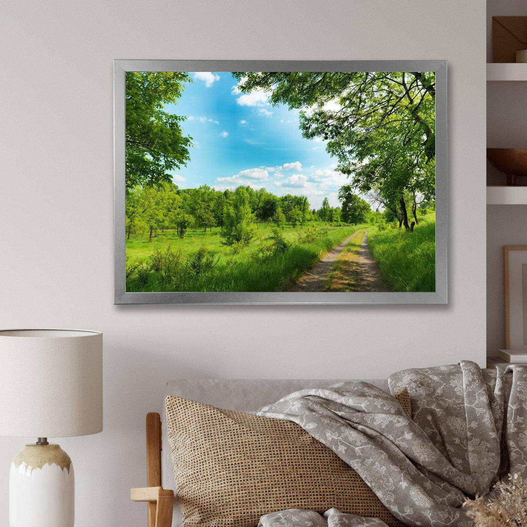 Green Forest Road and Blue Sky
