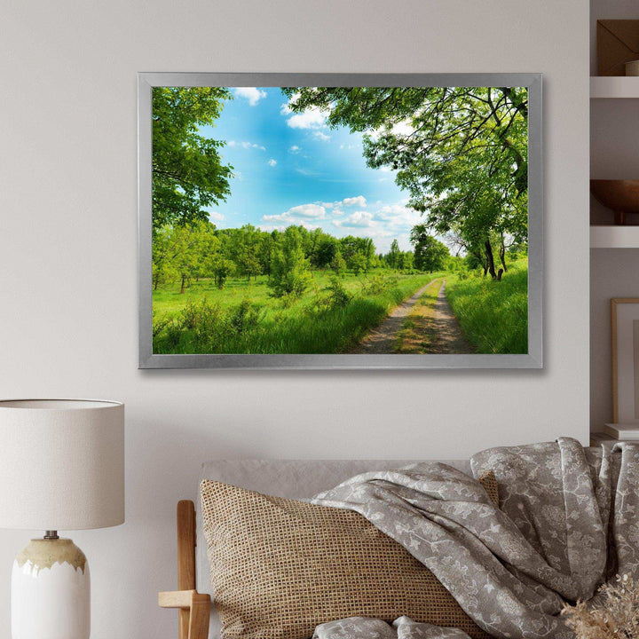 Green Forest Road and Blue Sky