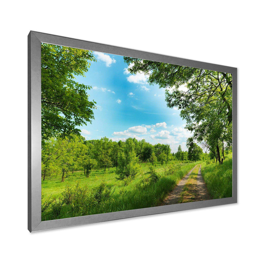 Green Forest Road and Blue Sky