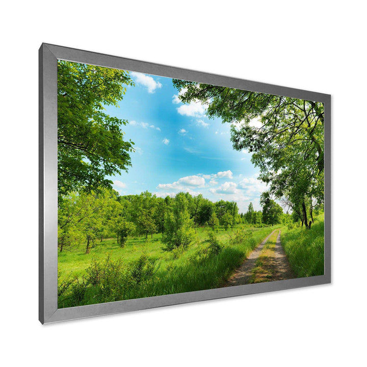 Green Forest Road and Blue Sky