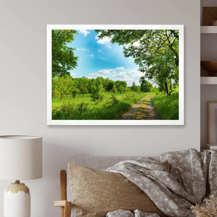 Green Forest Road and Blue Sky