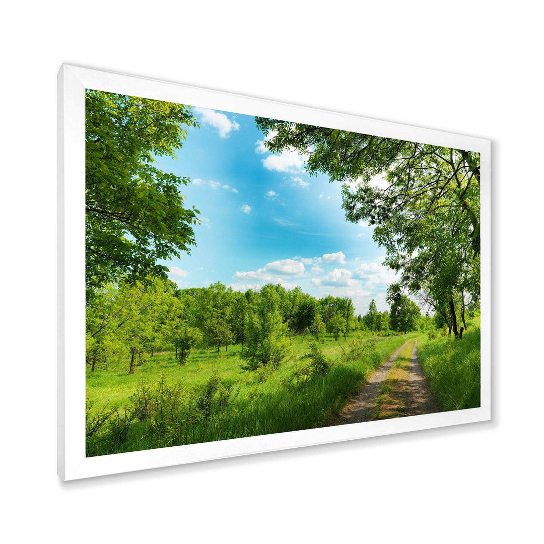 Green Forest Road and Blue Sky