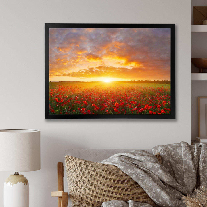 Poppy Field under Bright Sunset