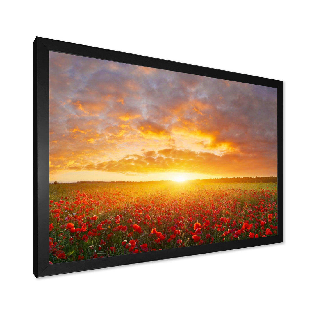 Poppy Field under Bright Sunset