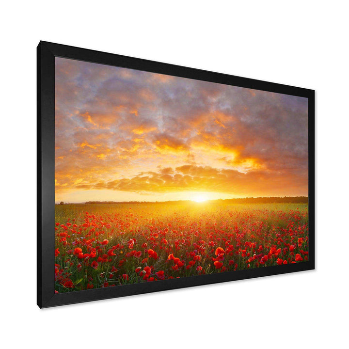 Poppy Field under Bright Sunset