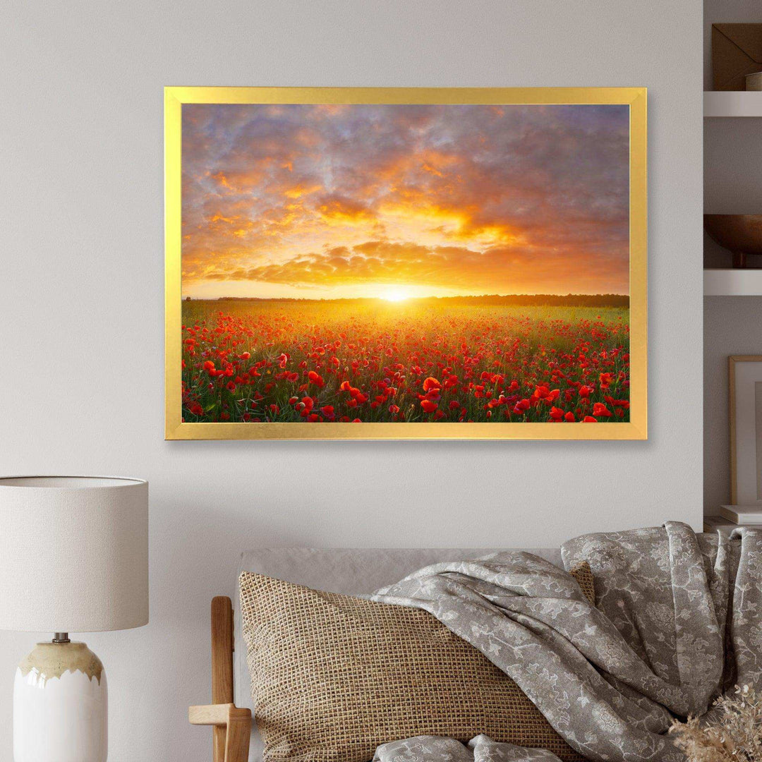 Poppy Field under Bright Sunset