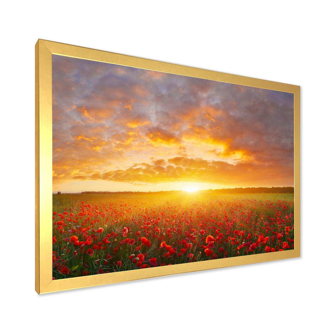 Poppy Field under Bright Sunset