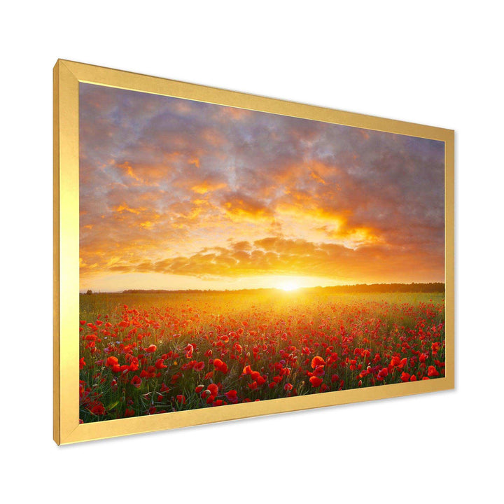 Poppy Field under Bright Sunset