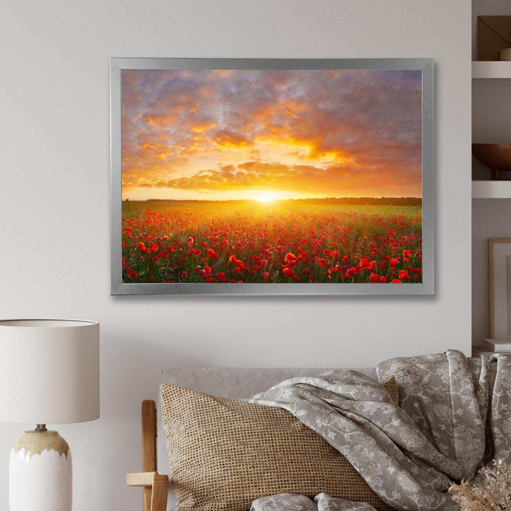 Poppy Field under Bright Sunset