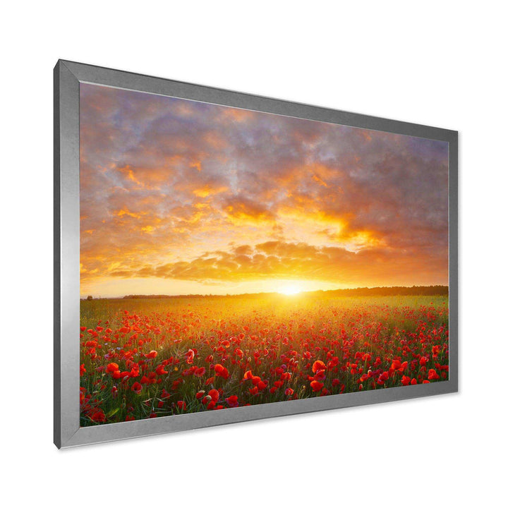 Poppy Field under Bright Sunset