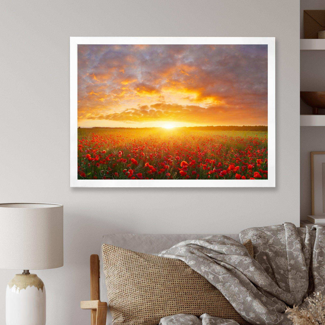 Poppy Field under Bright Sunset