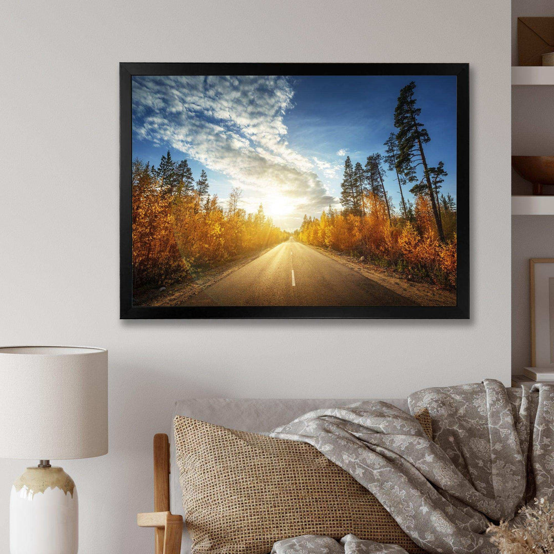 Road in Fall Forest Panorama