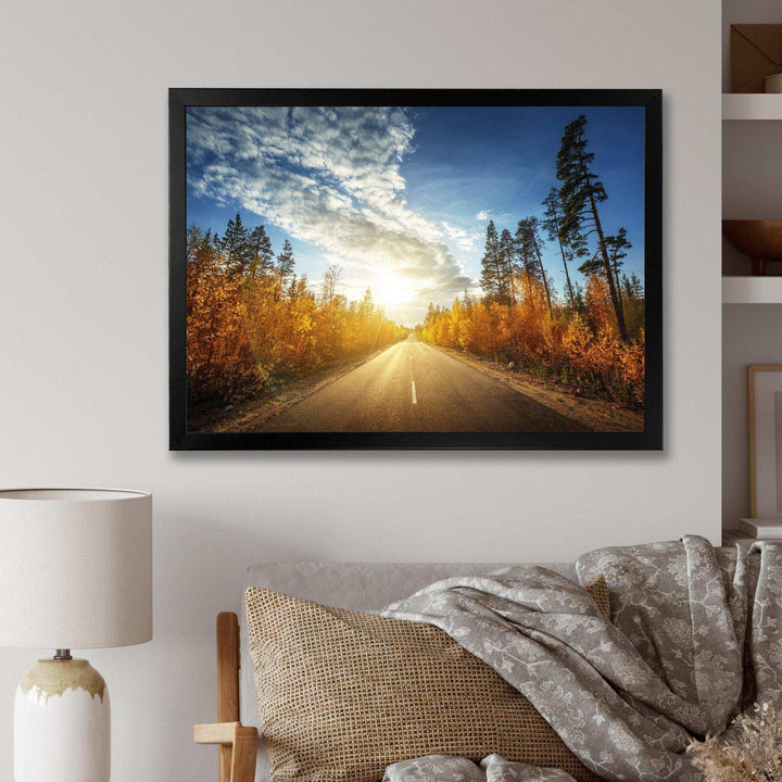 Road in Fall Forest Panorama