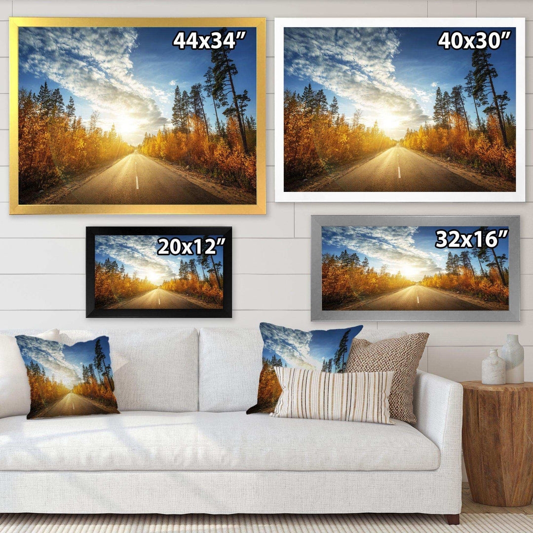 Road in Fall Forest Panorama