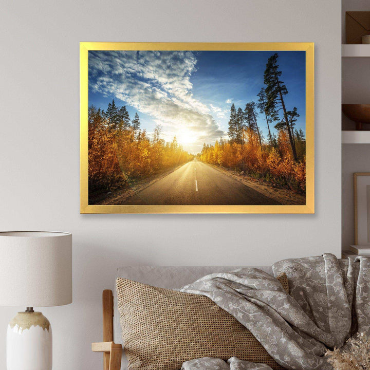 Road in Fall Forest Panorama