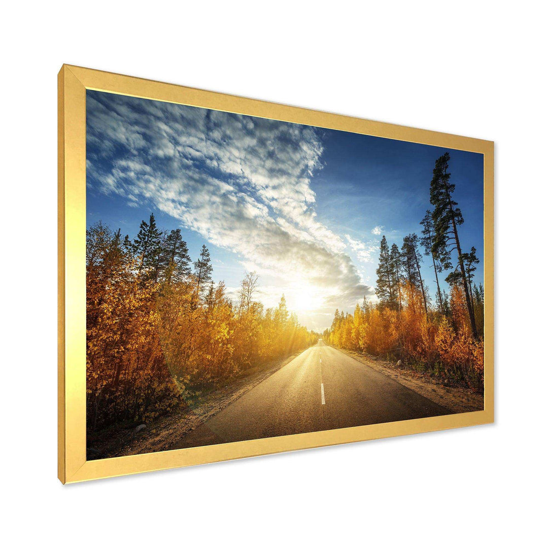 Road in Fall Forest Panorama