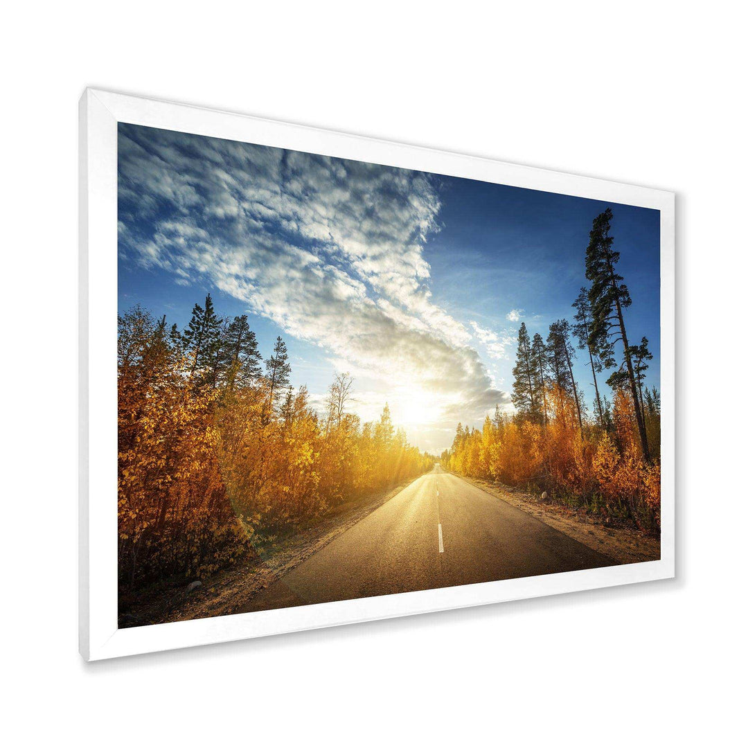 Road in Fall Forest Panorama