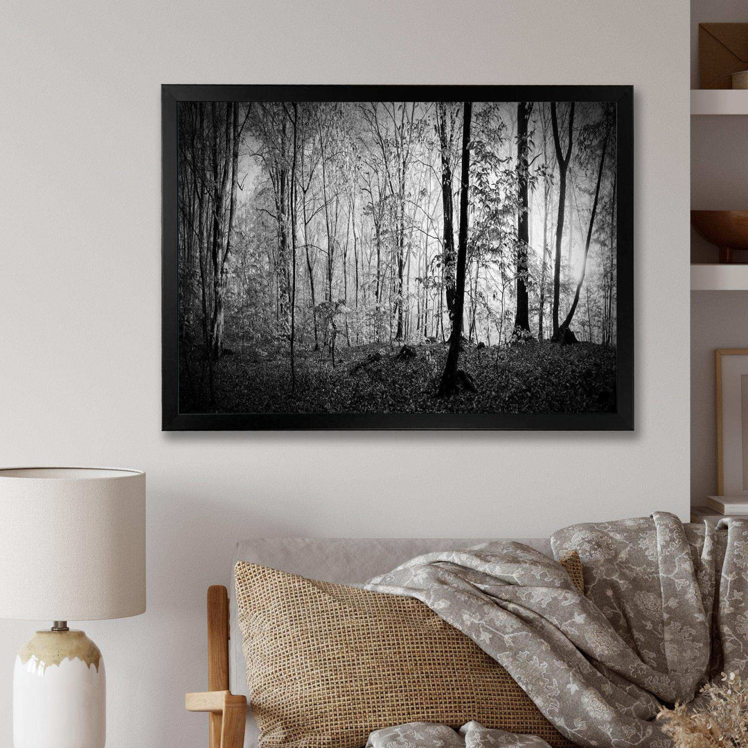 Beautiful Forest Morning Panorama