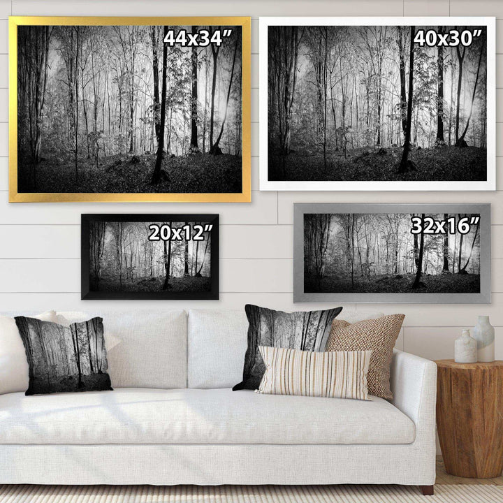 Beautiful Forest Morning Panorama