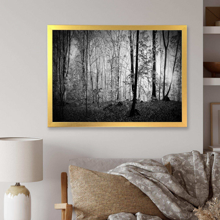 Beautiful Forest Morning Panorama
