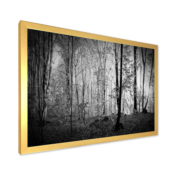 Beautiful Forest Morning Panorama