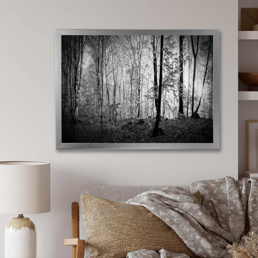 Beautiful Forest Morning Panorama