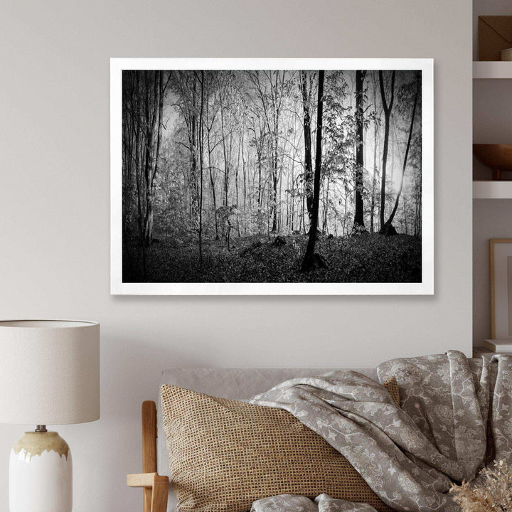 Beautiful Forest Morning Panorama