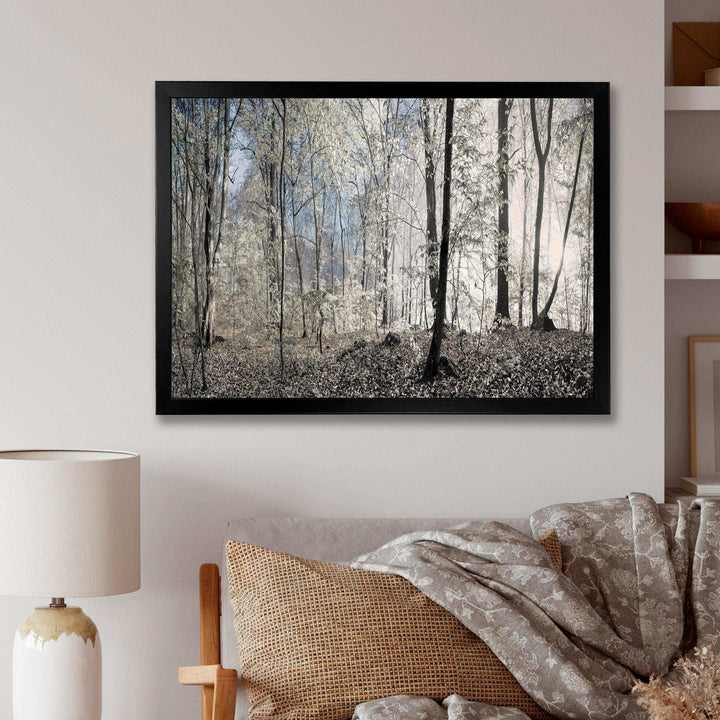 Dark Morning in Forest Panorama