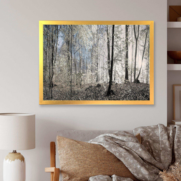 Dark Morning in Forest Panorama