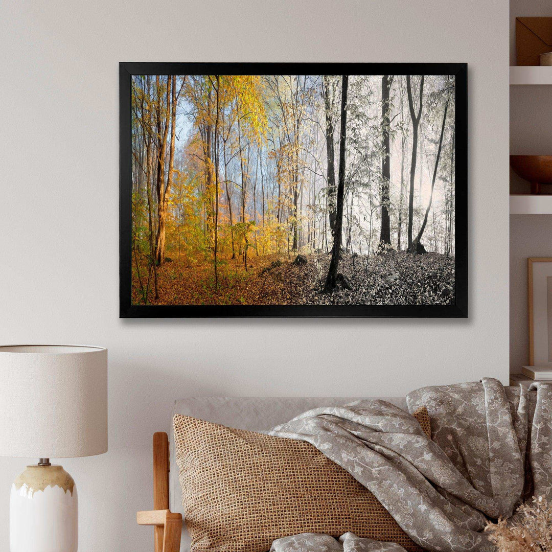 Yellow Morning in Forest Panorama