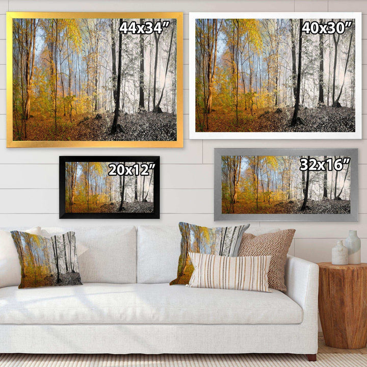Yellow Morning in Forest Panorama