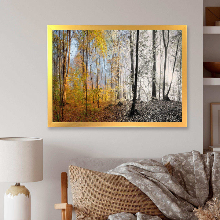 Yellow Morning in Forest Panorama