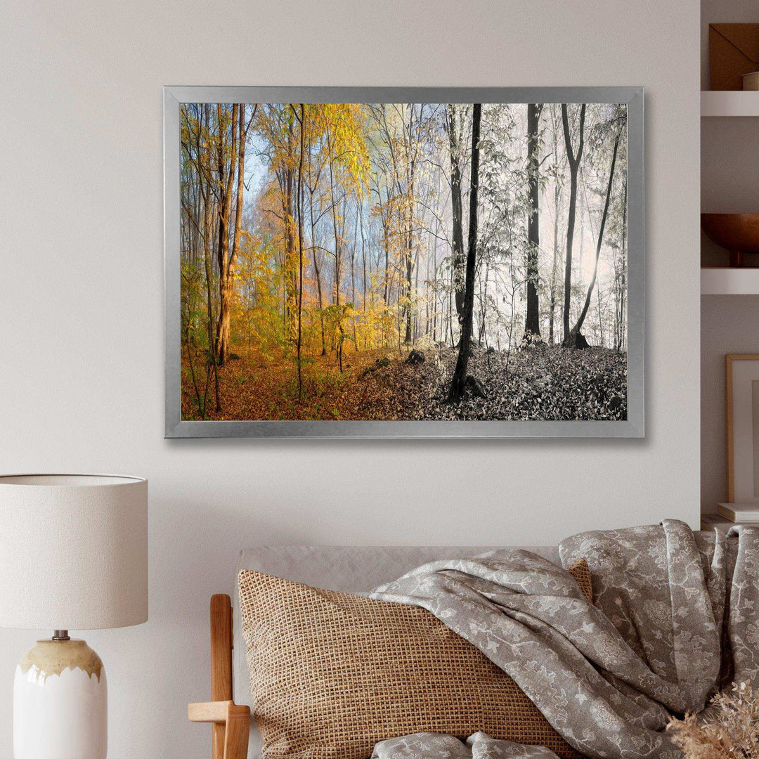Yellow Morning in Forest Panorama