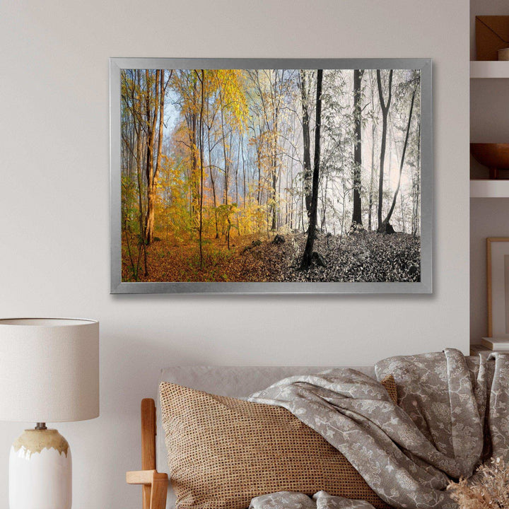 Yellow Morning in Forest Panorama