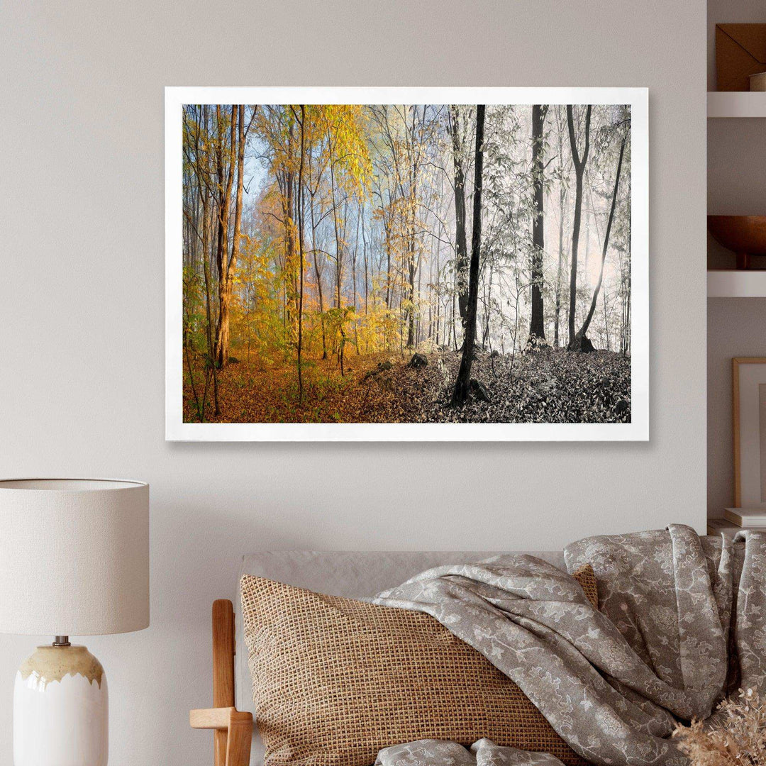 Yellow Morning in Forest Panorama