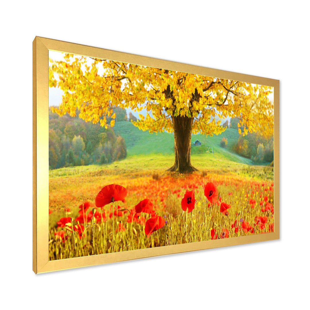 Beautiful Autumn Yellow Tree