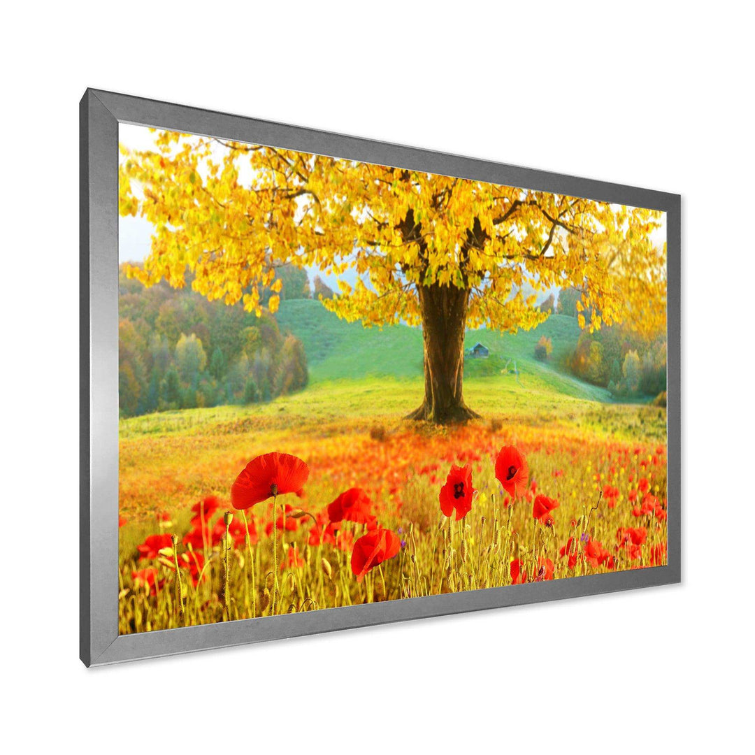 Beautiful Autumn Yellow Tree
