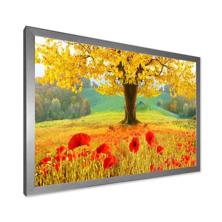 Beautiful Autumn Yellow Tree