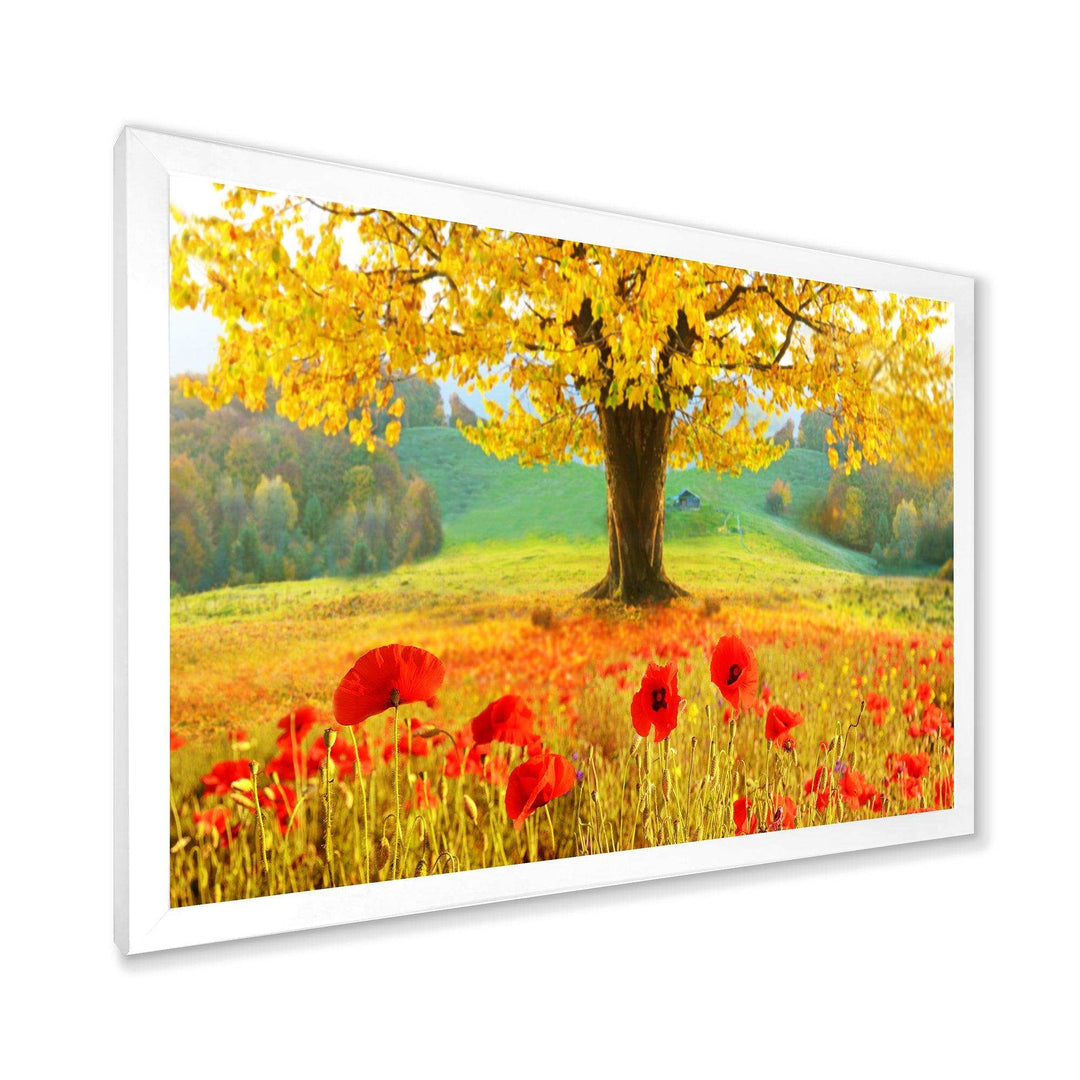 Beautiful Autumn Yellow Tree