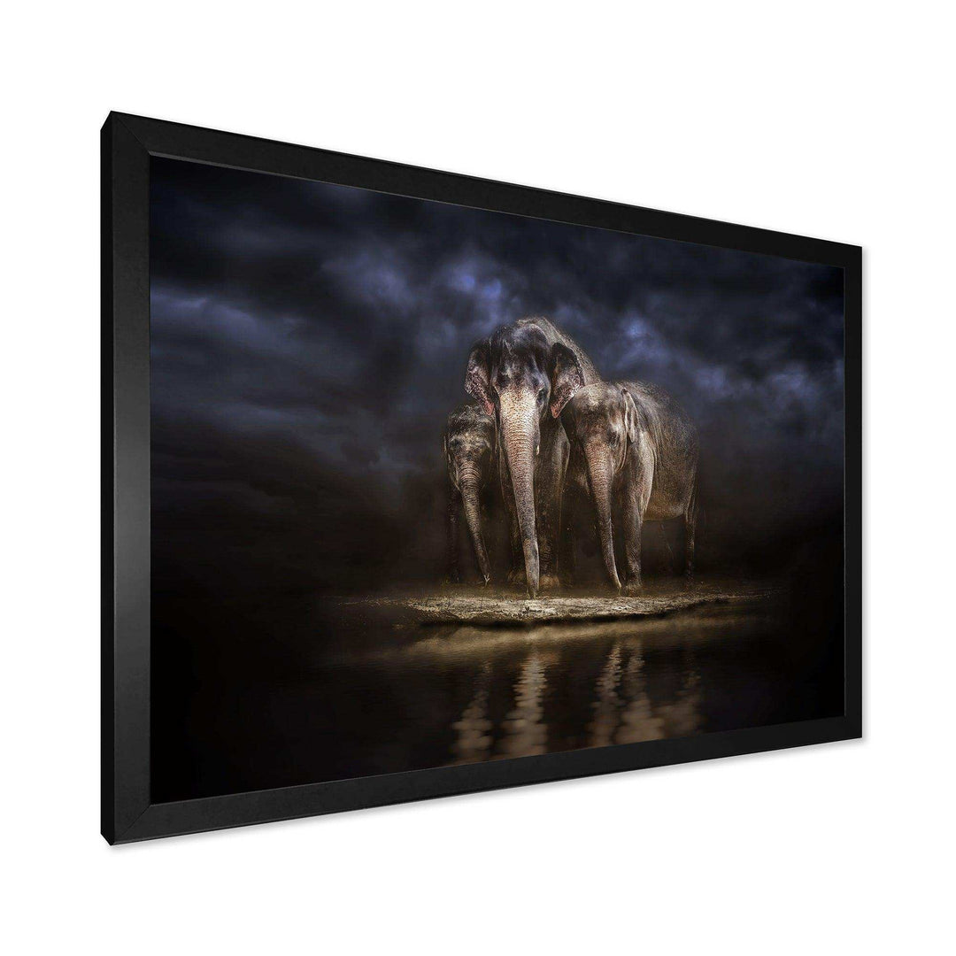 Elephants Watering in the River