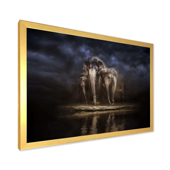 Elephants Watering in the River