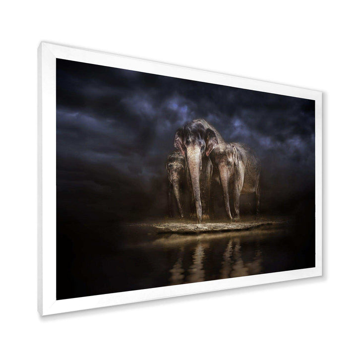 Elephants Watering in the River