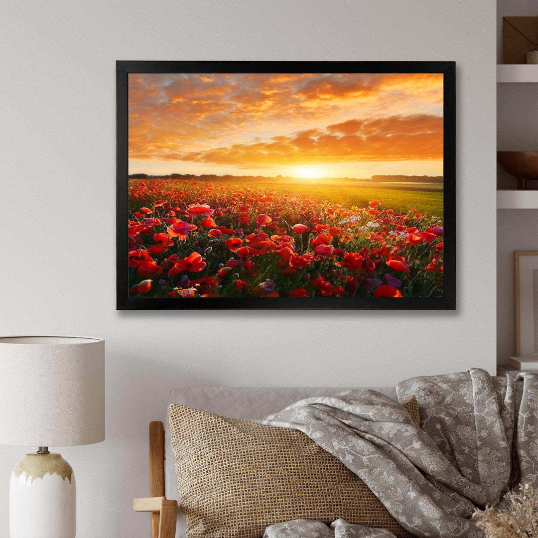 Beautiful Poppy Field at Sunset - Landscapes Wall Art Prints