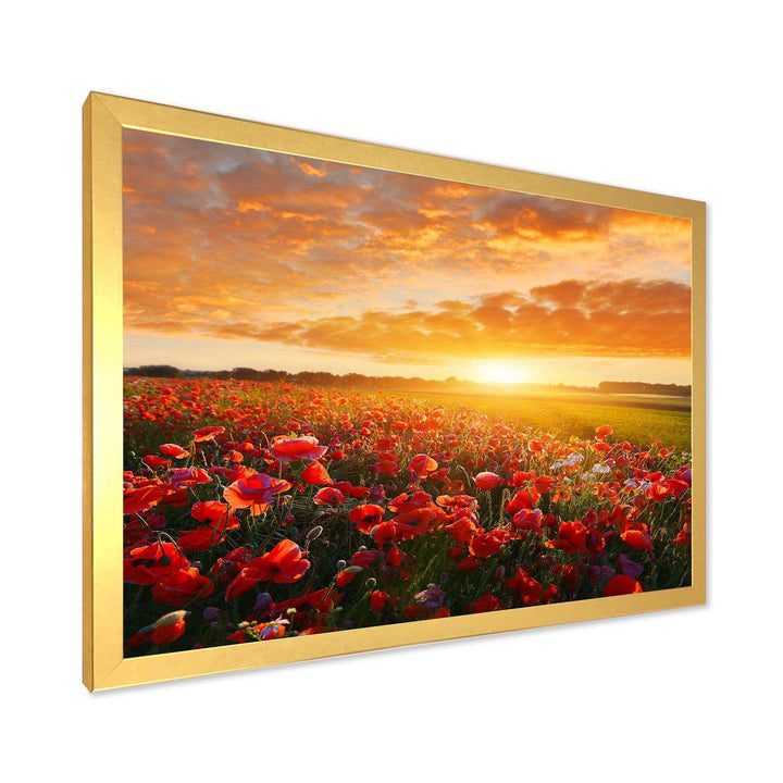 Beautiful Poppy Field at Sunset - Landscapes Wall Art Prints