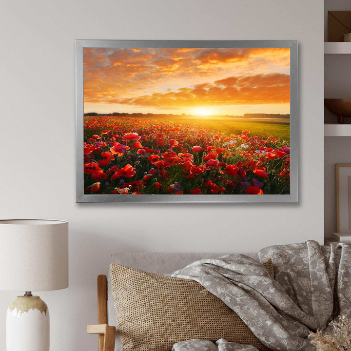 Beautiful Poppy Field at Sunset - Landscapes Wall Art Prints