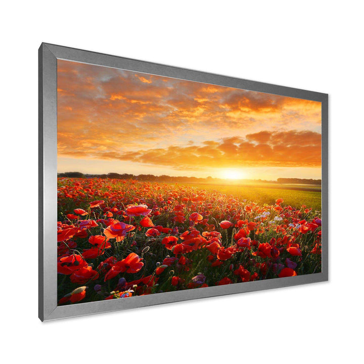 Beautiful Poppy Field at Sunset - Landscapes Wall Art Prints
