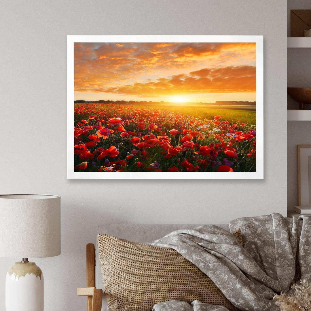 Beautiful Poppy Field at Sunset - Landscapes Wall Art Prints