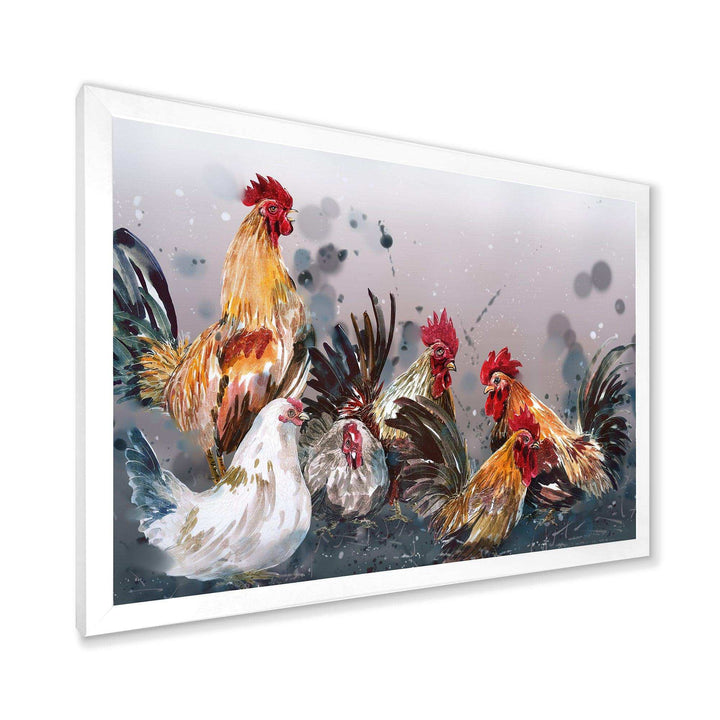 Group of Rooster in Gray Farm background
