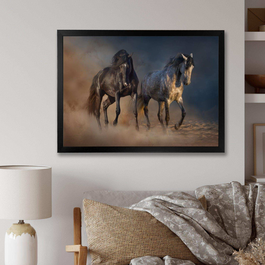 Black and white horse run