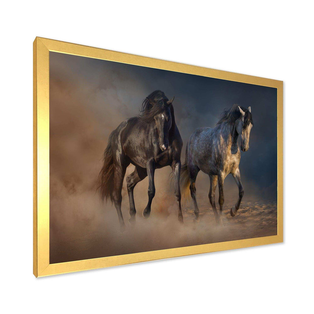 Black and white horse run